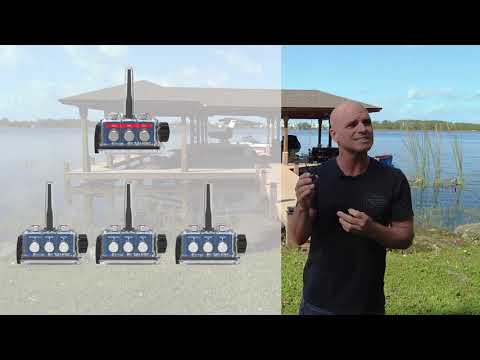 Bb Talkin 3.0 (2 pcs par boite)